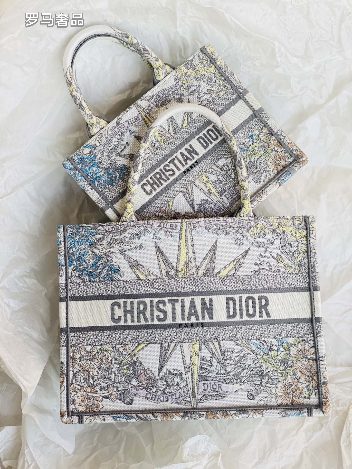 Dior Luxury Embroidered Canvas Tote Bag with Constellation Star Print