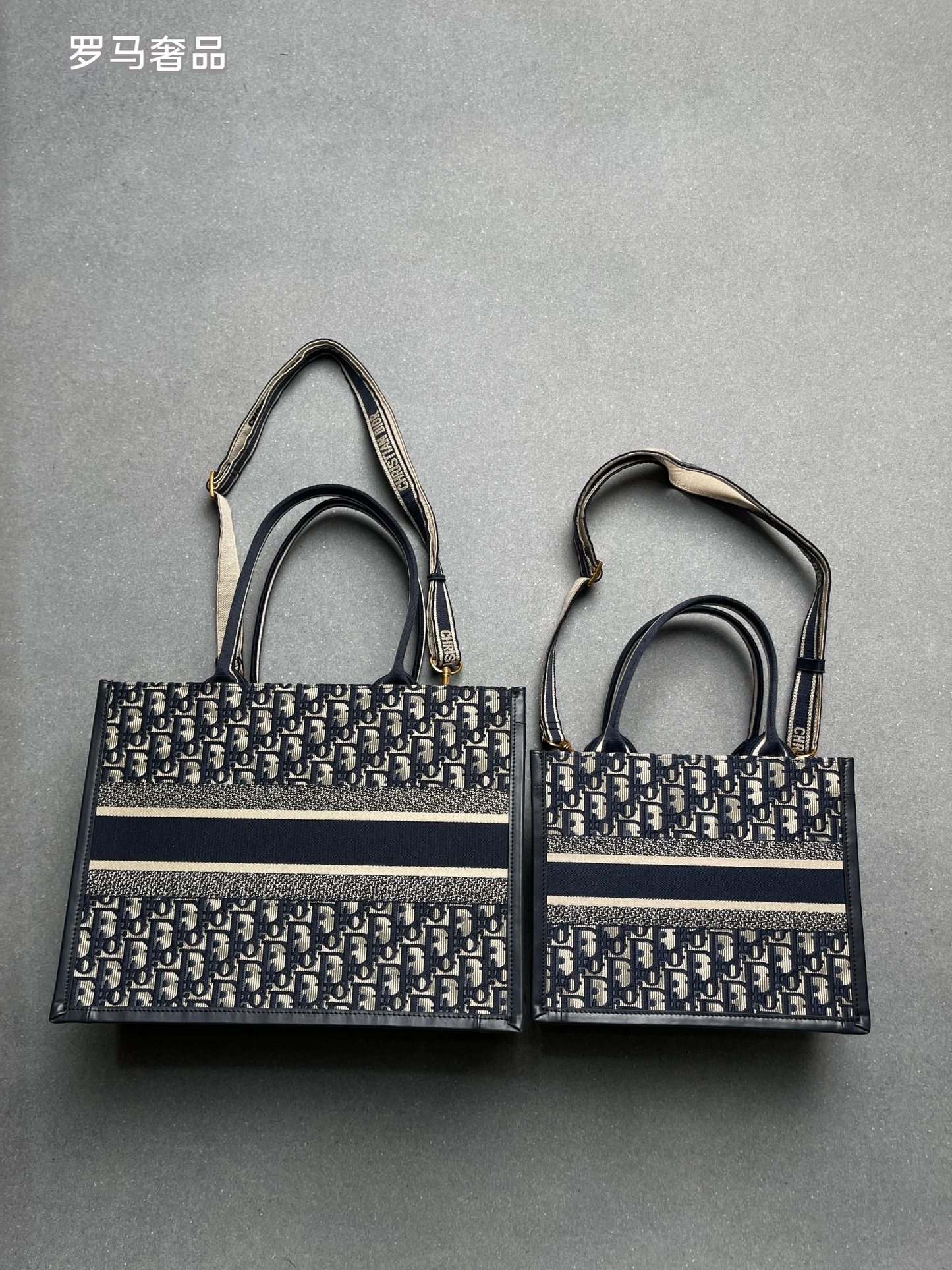 Christian Dior Book Tote - Blue Dior Oblique Embroidery