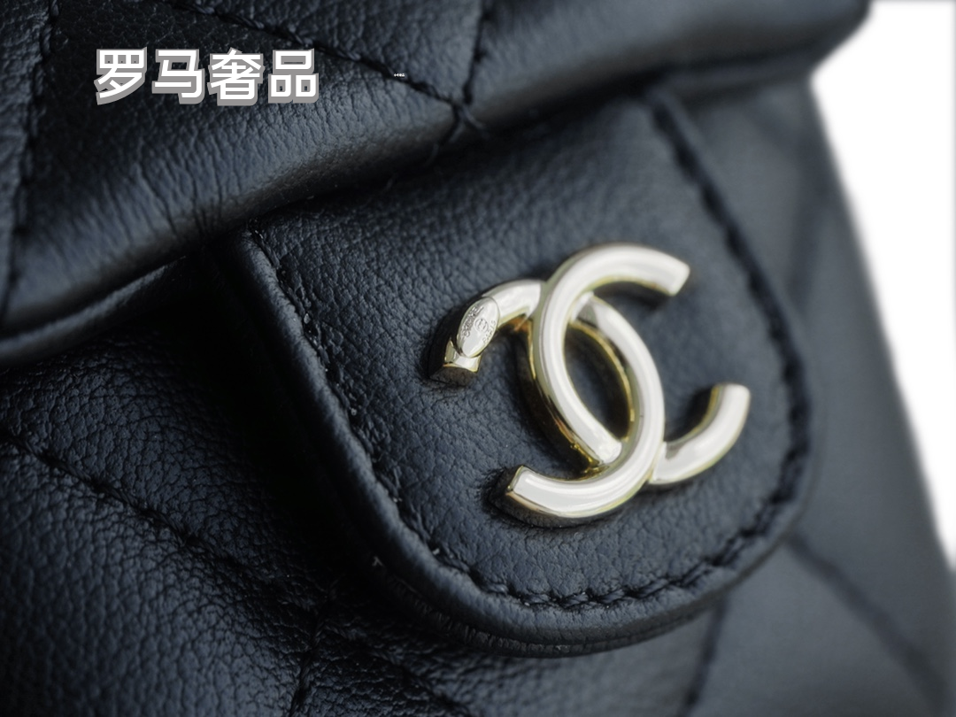 Chanel Quilted Lambskin Duma Backpack - Black with Gold-Tone Hardware